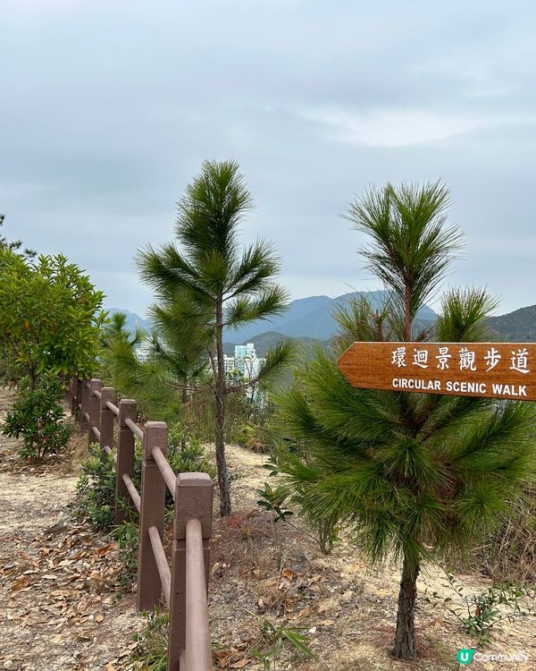 🥳沙慈行山💮