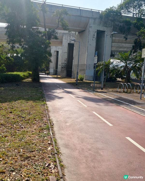 親子假日好去處，沙田踩單車🚲