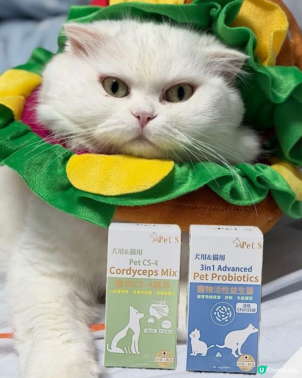 關注主子健康既你記得要入手💕