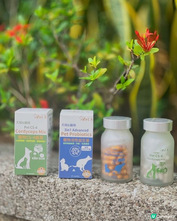 關注主子健康既你記得要入手💕