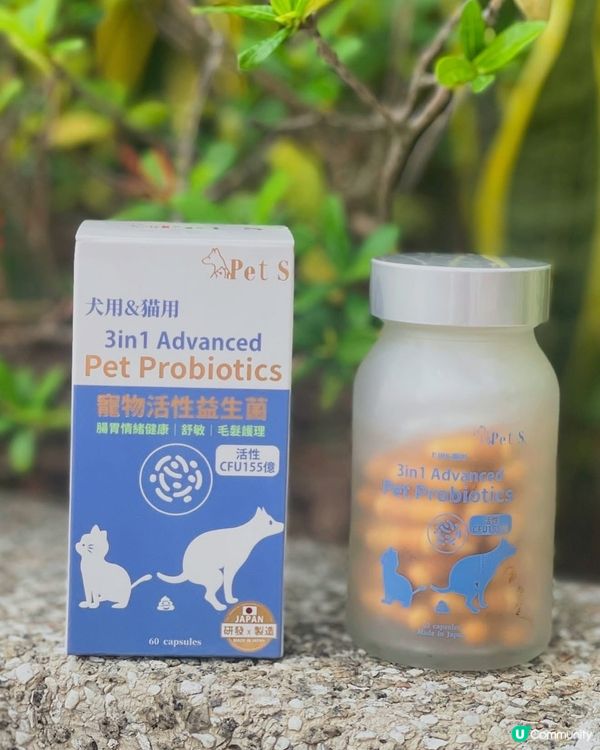 關注主子健康既你記得要入手💕