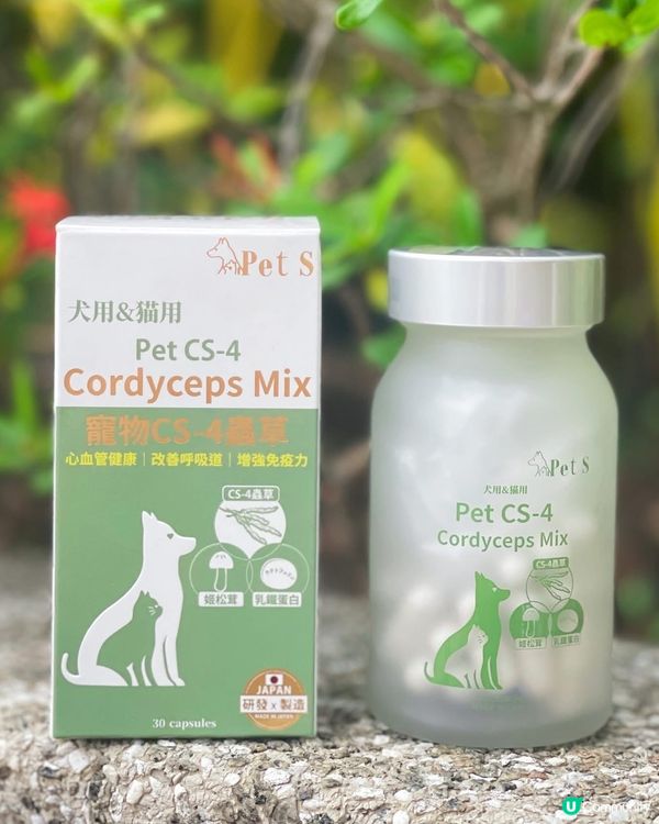 關注主子健康既你記得要入手💕