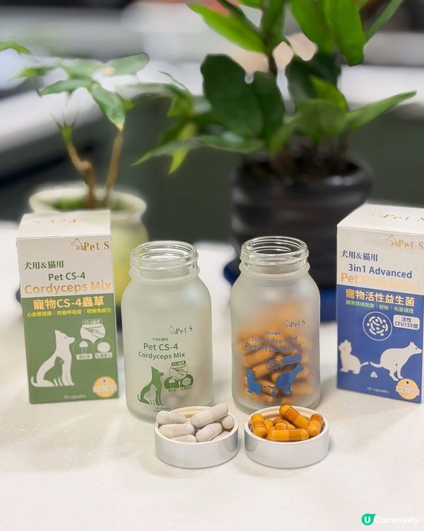 關注主子健康既你記得要入手💕