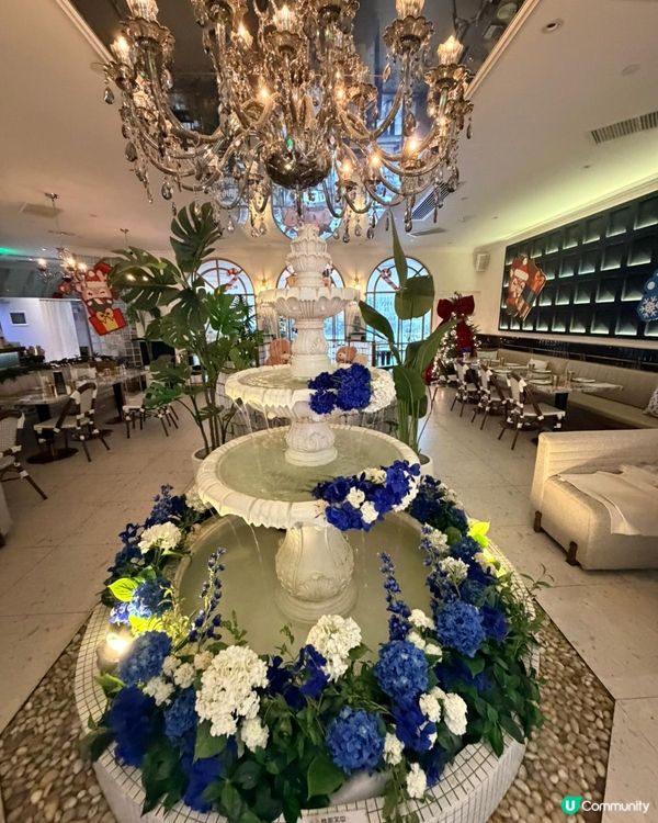 今日西餐大滿足！生蠔、蝦、龍蝦飯🤤