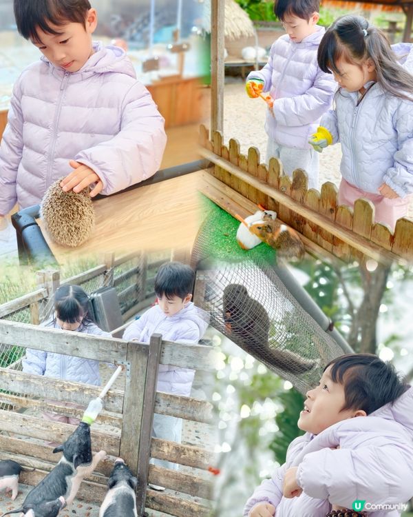 珠海有咩玩？有得玩、食、浸溫泉