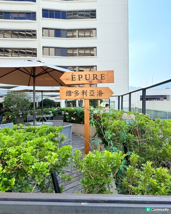 尖咀米芝蓮法式浪漫晚餐！😍 法國菜約會首選！🥂