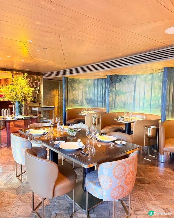 尖咀米芝蓮法式浪漫晚餐！😍 法國菜約會首選！🥂