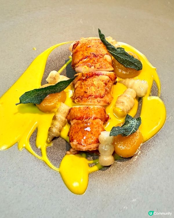 尖咀米芝蓮法式浪漫晚餐！😍 法國菜約會首選！🥂