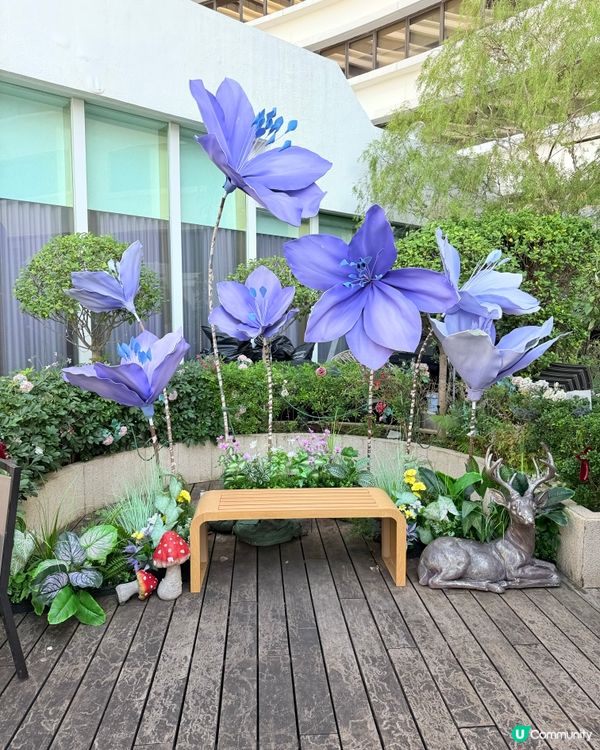 尖咀米芝蓮法式浪漫晚餐！😍 法國菜約會首選！🥂