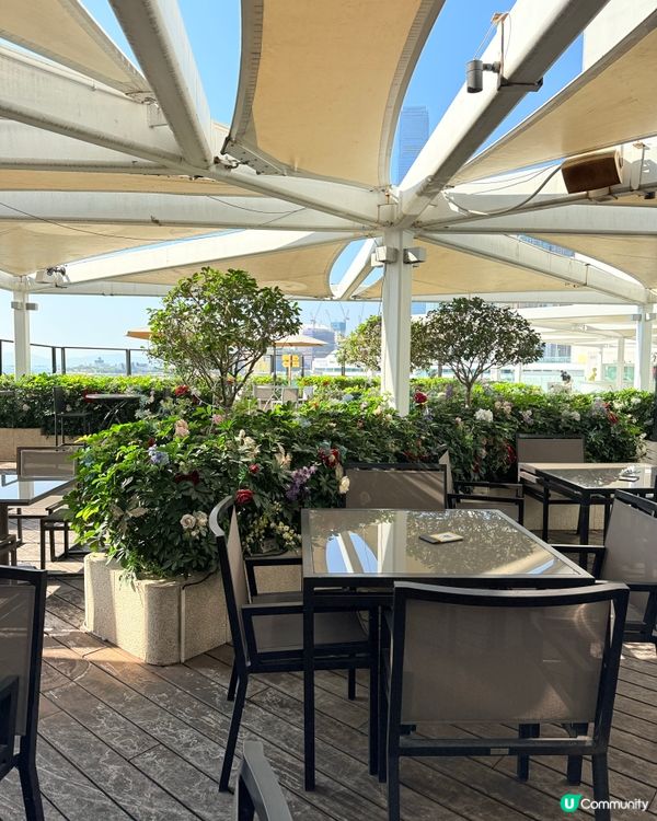 尖咀米芝蓮法式浪漫晚餐！😍 法國菜約會首選！🥂