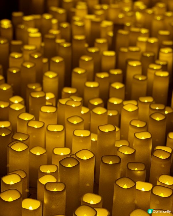 宮崎駿音樂會🎻耳朵懷孕啦🤤唔使學生都入到香港大學學生宿舍