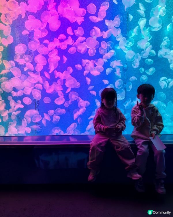 廣州正佳極地海洋世界