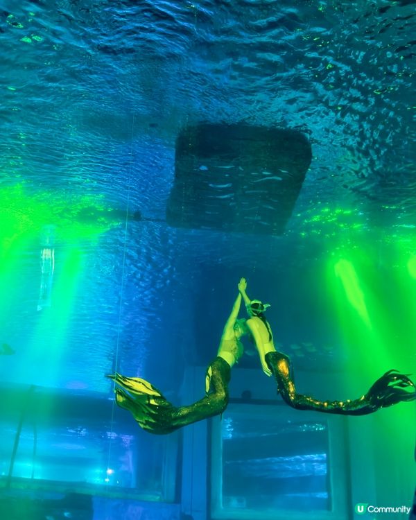 廣州正佳極地海洋世界