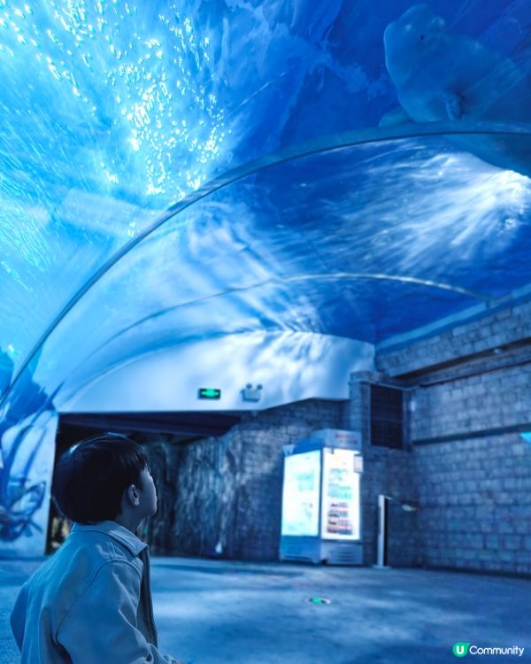 廣州正佳極地海洋世界