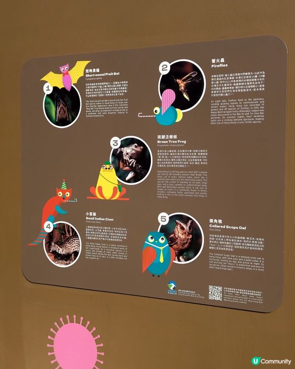 📢大西北家長注意！TOWN 玩天地開幕啦✨