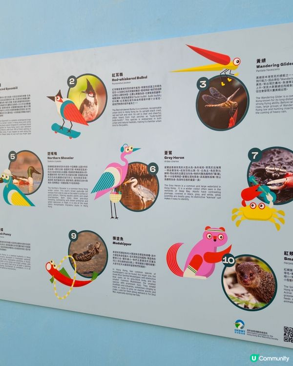 📢大西北家長注意！TOWN 玩天地開幕啦✨