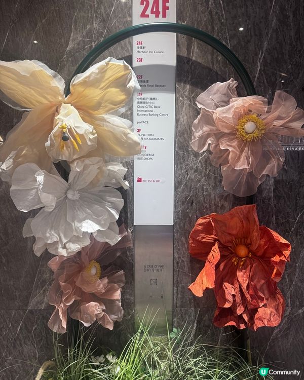 港滙軒飲茶嘆維港🤩靚景點心一流😋