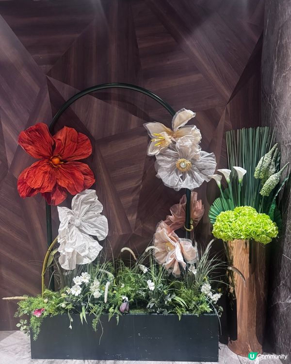 港滙軒飲茶嘆維港🤩靚景點心一流😋