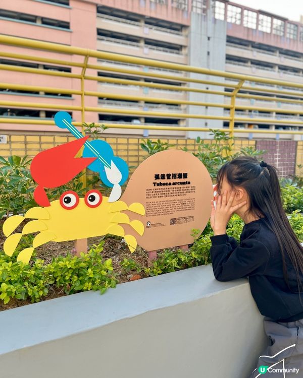 天水圍有新公園玩啦 🥳