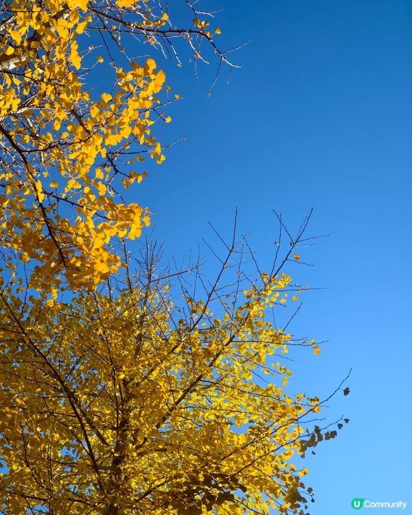 雲南旅遊，沙溪古鎮半日遊，電視劇取景點
