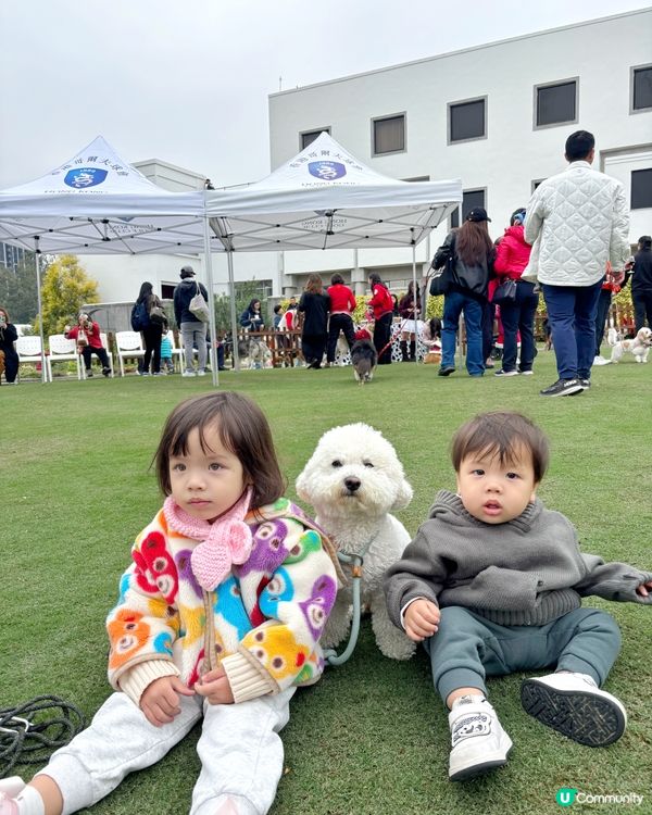 寵物都入得香港粉嶺高爾夫球會會所？😎