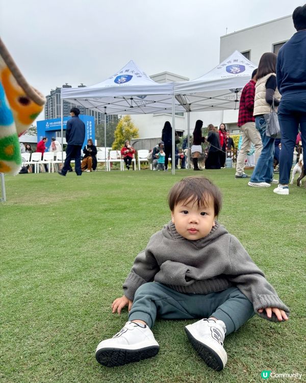 寵物都入得香港粉嶺高爾夫球會會所？😎