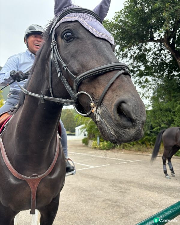 寵物都入得香港粉嶺高爾夫球會會所？😎