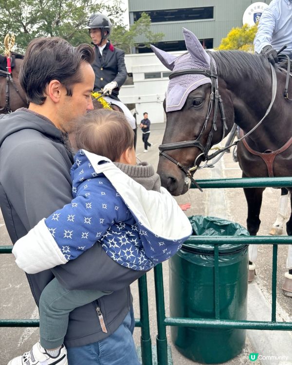 寵物都入得香港粉嶺高爾夫球會會所？😎