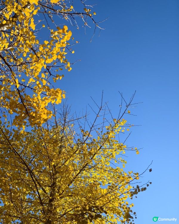 雲南之旅(三）大理沙溪古鎮半天遊，超美劇集取景點