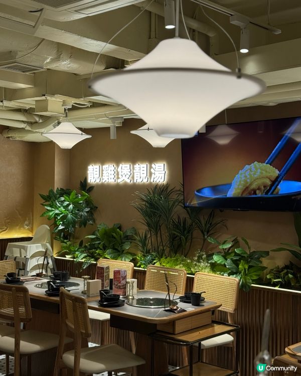 鳳園椰子雞超打卡點心茶檔開張🤩點心控衝呀！