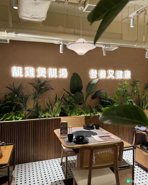 鳳園椰子雞超打卡點心茶檔開張🤩點心控衝呀！