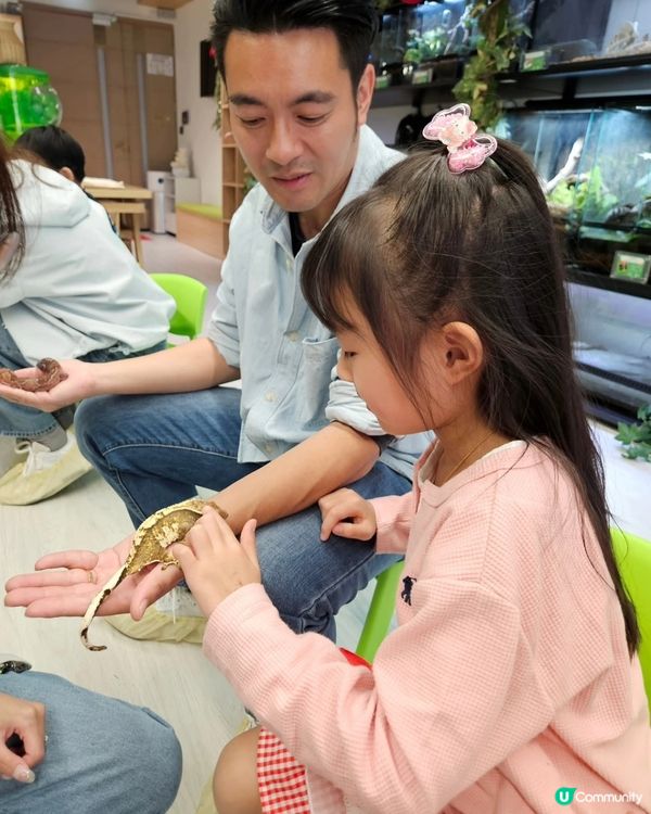 長沙灣動物互動館🤩！零距離接觸小動物！ 👨‍👩‍👧‍
