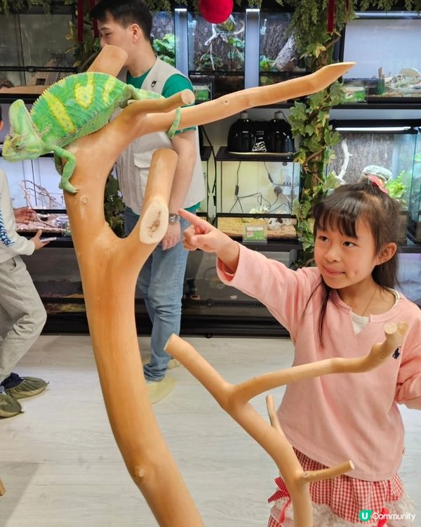 長沙灣動物互動館🤩！零距離接觸小動物！ 👨‍👩‍👧‍