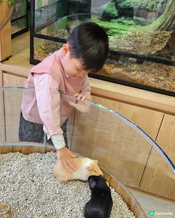 長沙灣動物互動館🤩！零距離接觸小動物！ 👨‍👩‍👧‍