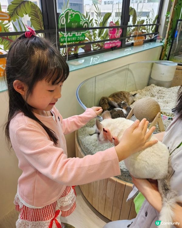 長沙灣動物互動館🤩！零距離接觸小動物！ 👨‍👩‍👧‍