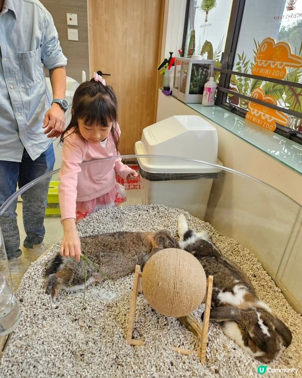 長沙灣動物互動館🤩！零距離接觸小動物！ 👨‍👩‍👧‍