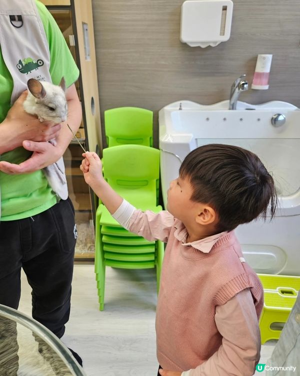 長沙灣動物互動館🤩！零距離接觸小動物！ 👨‍👩‍👧‍