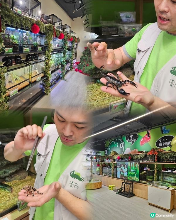 長沙灣動物互動館🤩！零距離接觸小動物！ 👨‍👩‍👧‍