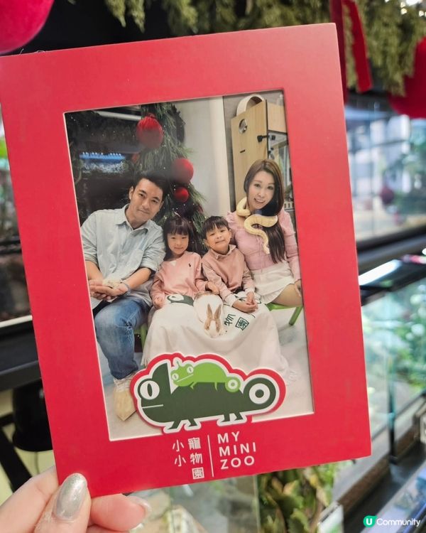 長沙灣動物互動館🤩！零距離接觸小動物！ 👨‍👩‍👧‍