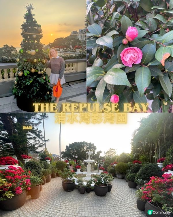 聖誕尾巴🎄淺水灣打卡！影灣園勁靚🤩