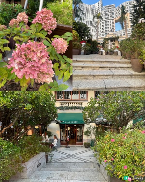 聖誕尾巴🎄淺水灣打卡！影灣園勁靚🤩