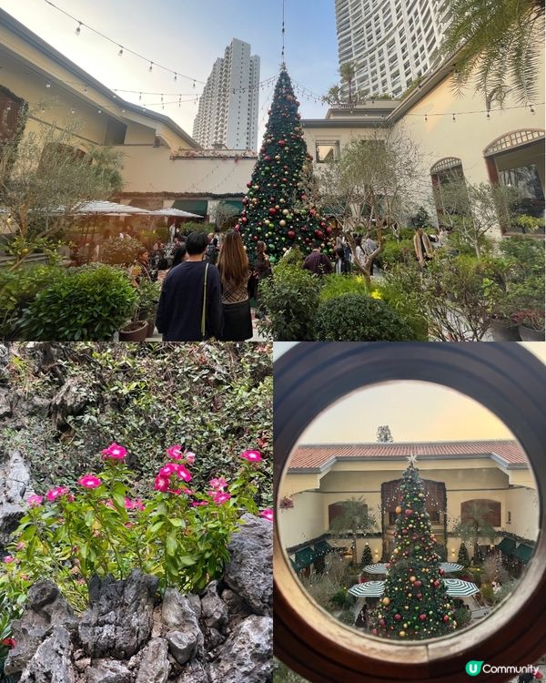 聖誕尾巴🎄淺水灣打卡！影灣園勁靚🤩