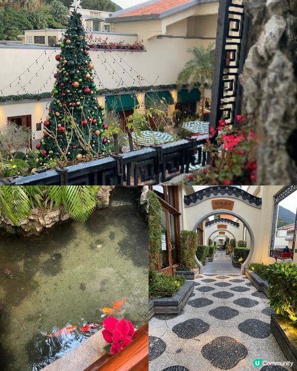 聖誕尾巴🎄淺水灣打卡！影灣園勁靚🤩