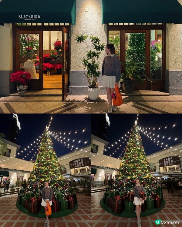 聖誕尾巴🎄淺水灣打卡！影灣園勁靚🤩