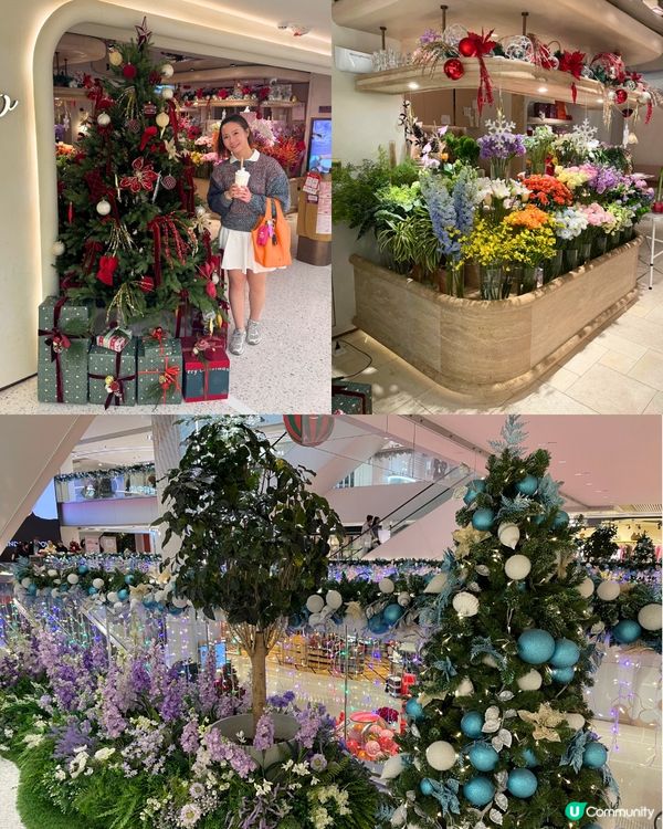 聖誕尾巴🎄淺水灣打卡！影灣園勁靚🤩