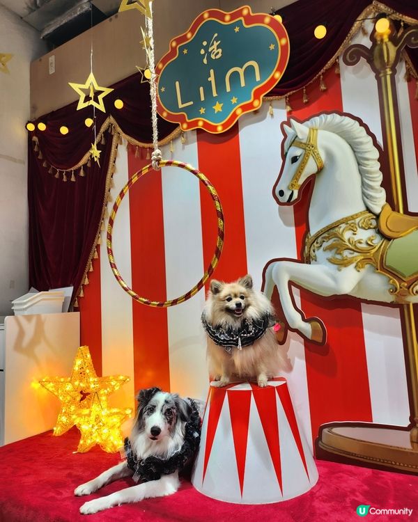 【活】北角匯海景晚餐！毛孩都Like 🥰