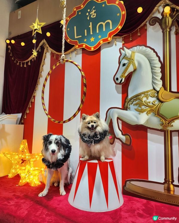 【活】北角匯海景晚餐！毛孩都Like 🥰