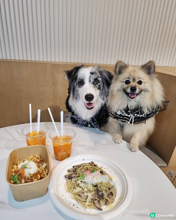 【活】北角匯海景晚餐！毛孩都Like 🥰