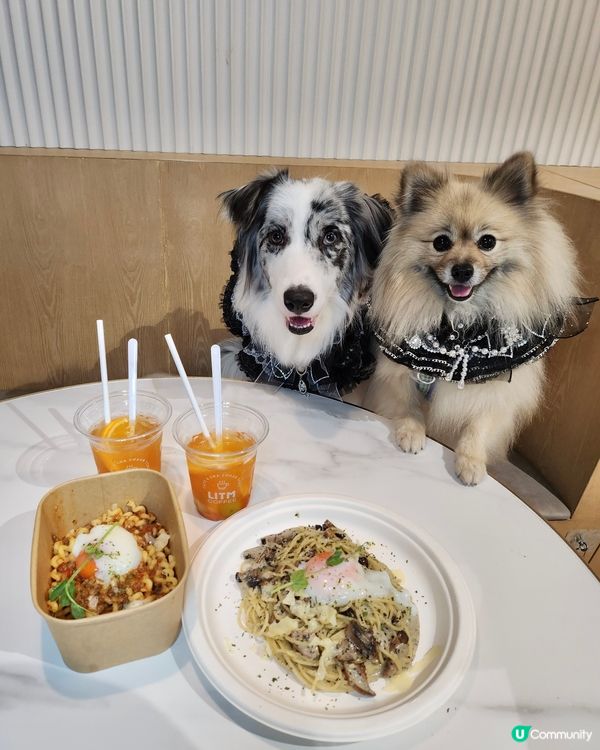 【活】北角匯海景晚餐！毛孩都Like 🥰