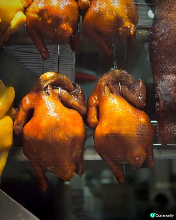 天龍燒鵝 - 燒味名店開到去荃灣